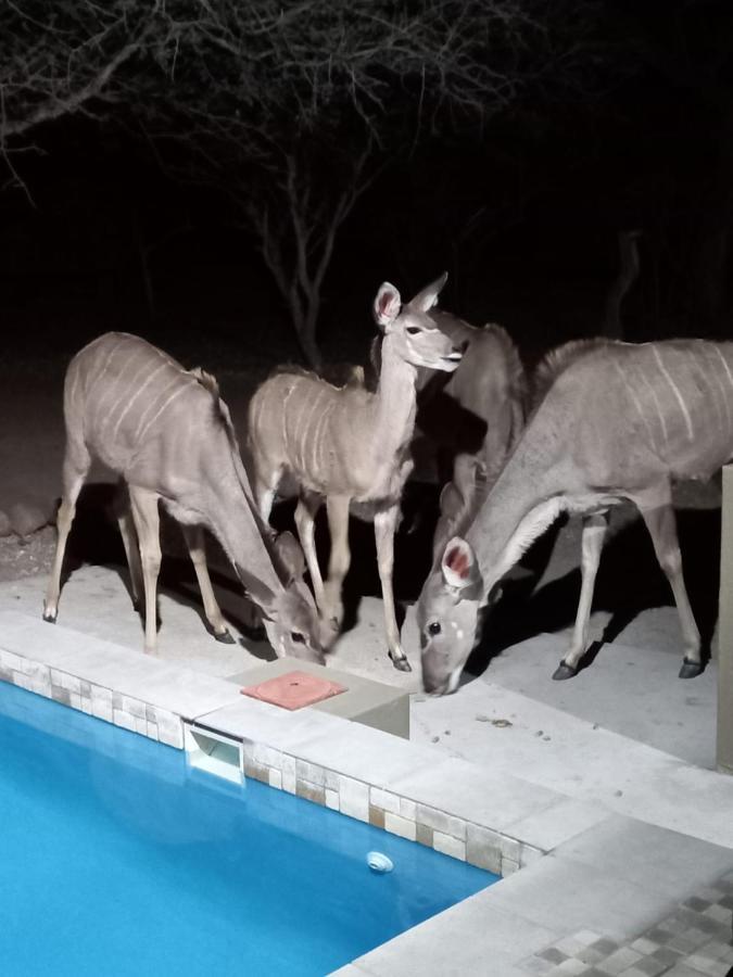 Kudus Crest Bush Retreat Apartment Marloth Park Exterior photo